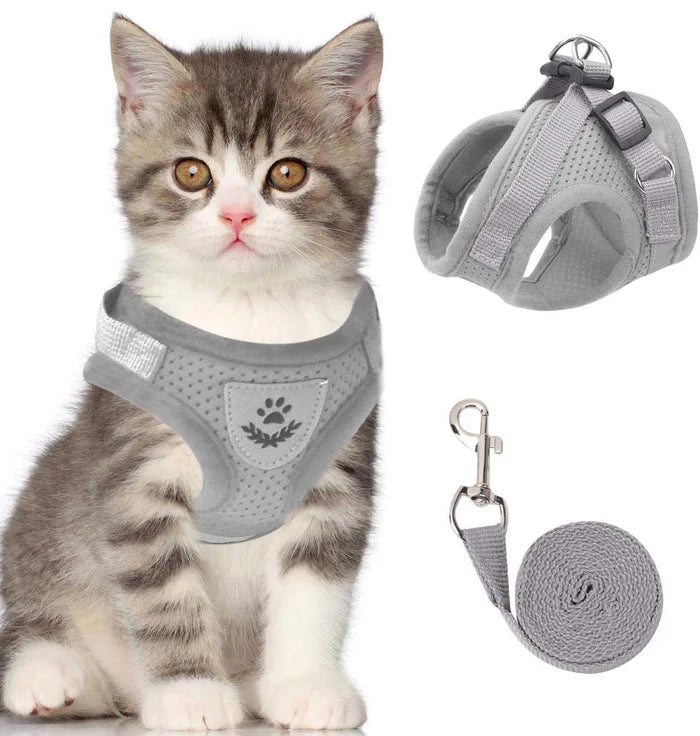 Adjustable Breathable Luminous Purrfect Feline Freedom Harness